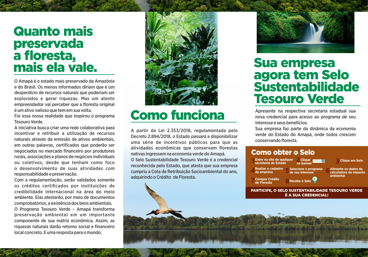 Quanto mais preservada a floresta, mais ela vale. 